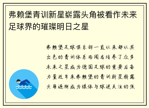 弗赖堡青训新星崭露头角被看作未来足球界的璀璨明日之星