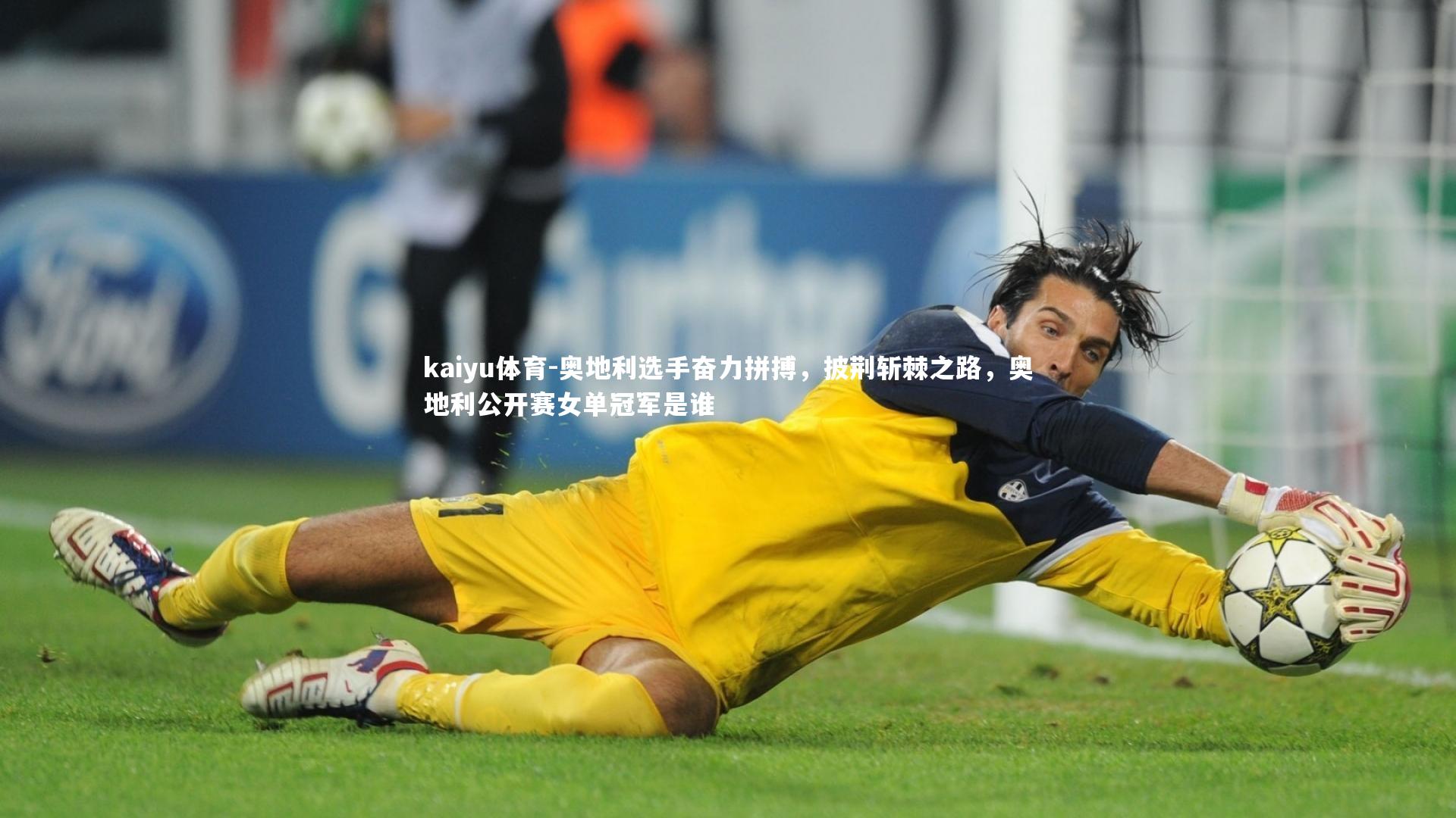 奥地利选手奋力拼搏,披荆斩棘之路,奥地利公开赛女单冠军是谁