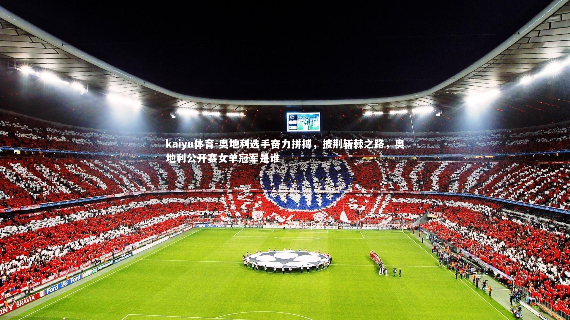 奥地利选手奋力拼搏,披荆斩棘之路,奥地利公开赛女单冠军是谁