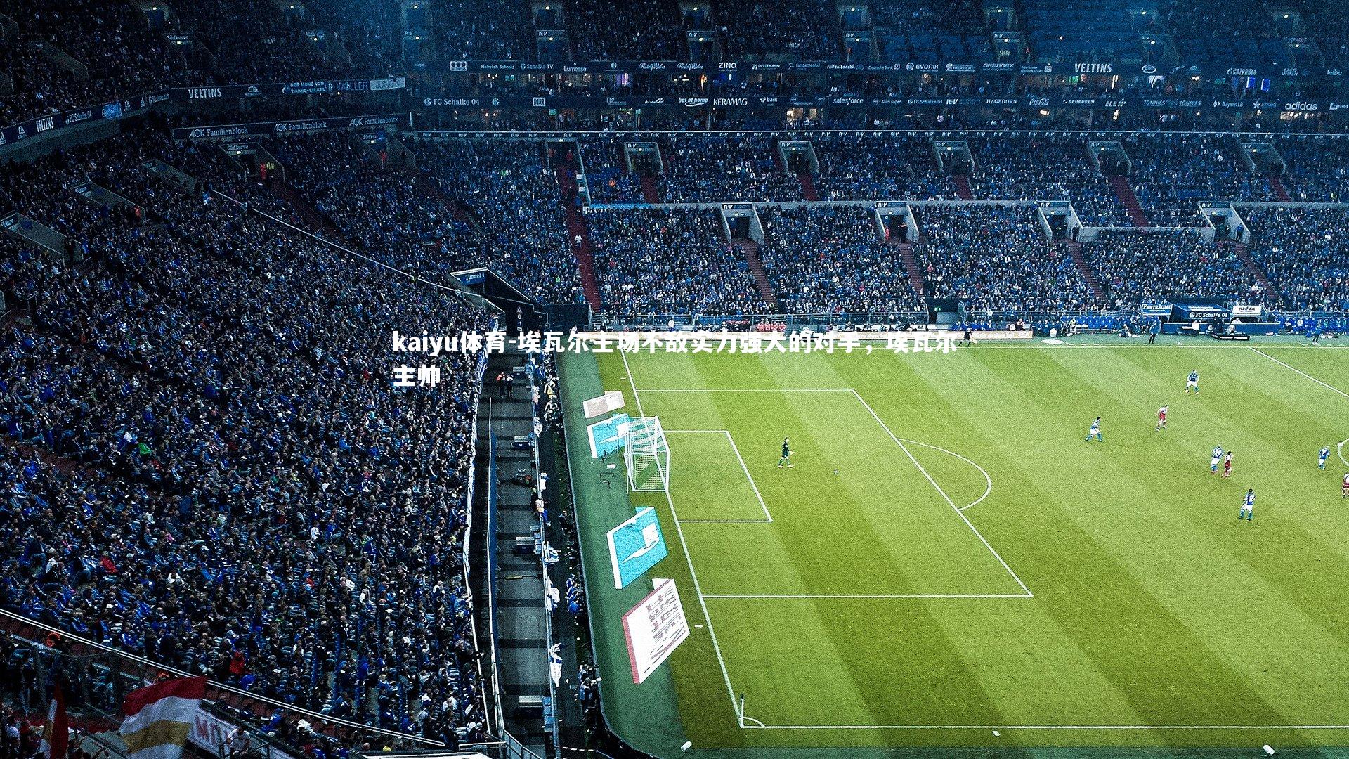 kaiyu体育-埃瓦尔主场不敌实力强大的对手，埃瓦尔主帅