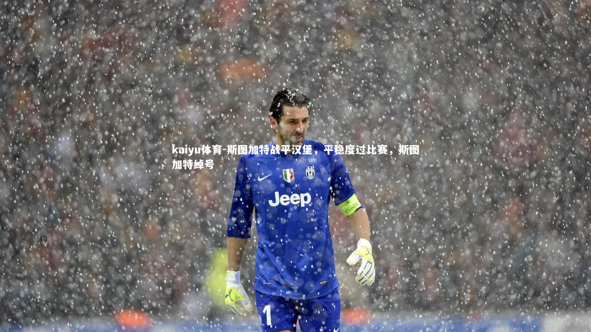 斯图加特战平汉堡，平稳度过比赛，斯图加特绰号