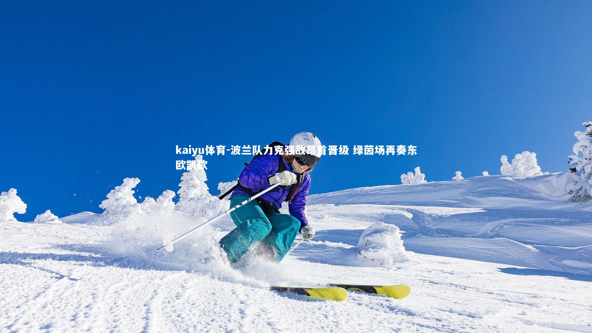 波兰队力克强敌昂首晋级 绿茵场再奏东欧凯歌